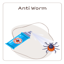 Anti worm